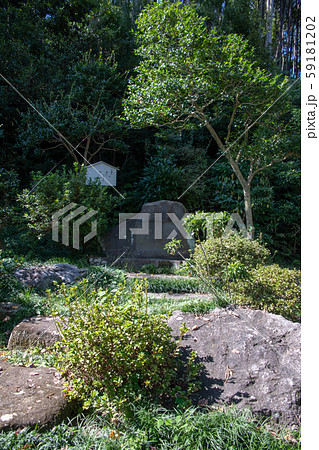 高麗神社 境内 温知学校跡付近 埼玉県日高市 高麗神社 境内 温知学校跡付近 埼玉県日高市 59181202