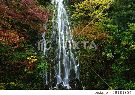 樽滝　長野県　木島平村 59181354