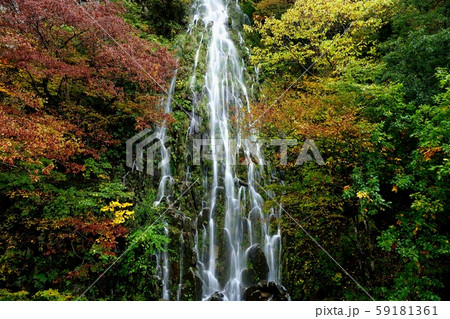 樽滝 長野県 木島平村 樽滝 長野県 木島平村 59181361