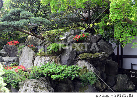 京都御所御内庭-2 59181582