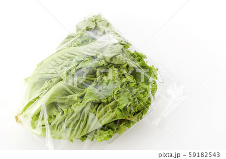 グリーンリーフ 袋入り グリーンリーフ 袋入り 59182543
