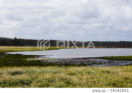 野付半島国定公園の風景　ナラワラ 59182853