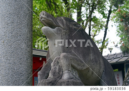 護王神社の狛猪-4 59183036
