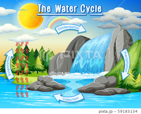 Water cycle process on Earth - Scientific 59183134