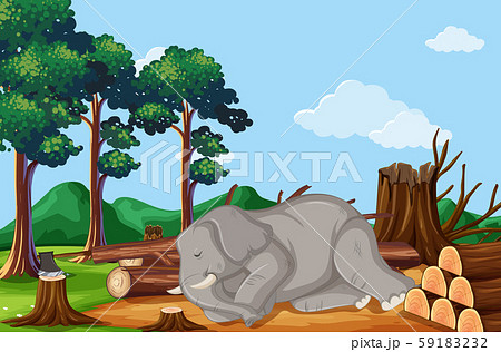 Deforestation Scene With Elephant Dyingのイラスト素材