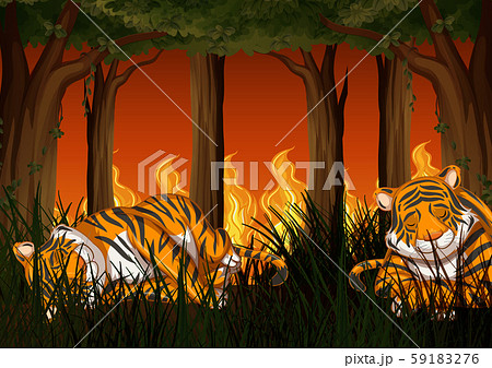 Deforestation scene with tiger and wildfire 59183276