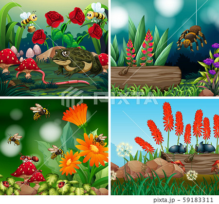 Set of background scene with nature theme 59183311