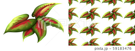 Seamless background design with green and red Seamless background design with green and red 59183476