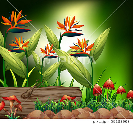Background scene with nature theme Background scene with nature theme 59183903