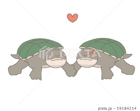 ハラガケカメのカップルのイラスト素材 [59184214] - PIXTA