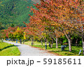 河口湖　湖畔 59185611