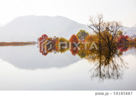 湖 紅葉 秋 59185887