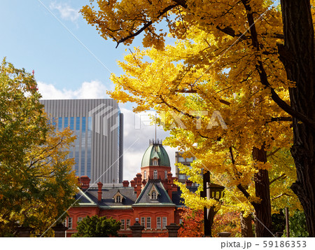 秋の道庁赤レンガ 秋の道庁赤レンガ 59186353