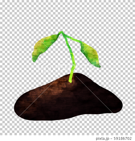 枯れる植物 除草 枯れる植物 除草 59186702