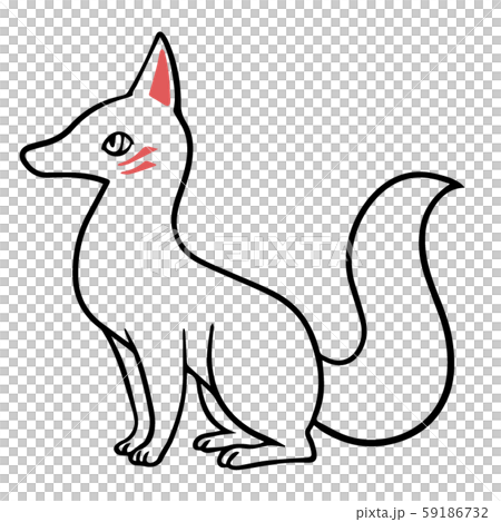 帶圖案的白色珊瑚2_的插圖（僅線條） 59186732