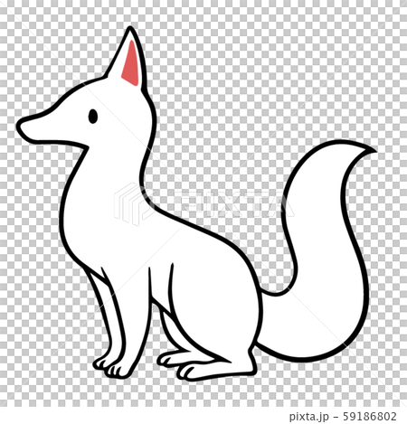 白い狐のイラスト 白い狐のイラスト 59186802