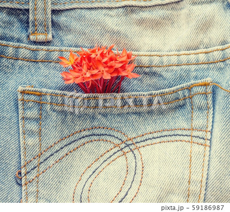 flower on the jeans 59186987