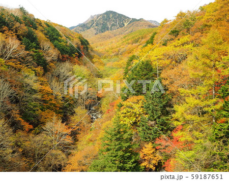清里 秋景色 清里 秋景色 59187651
