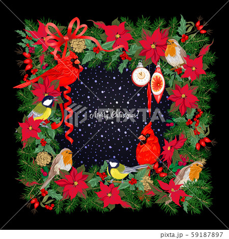 Cardinal bird and Christmas wreath 59187897