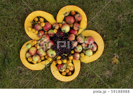 Fresh berries and pumpkin slices forming flower Fresh berries and pumpkin slices forming flower 59188988