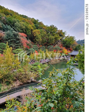 Hwadamsup 韓国 10 59189678