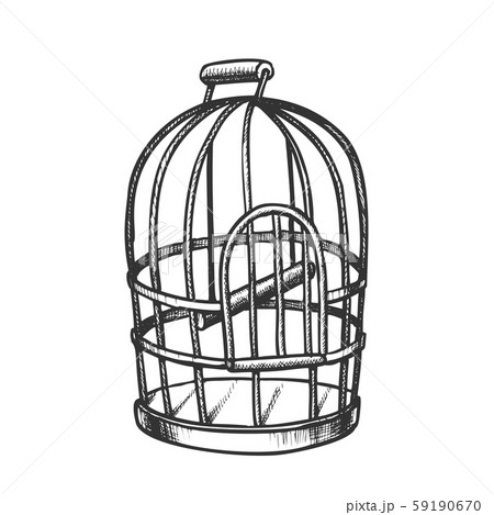 Birdcage For Domestic Parrot Monochrome Vector 59190670