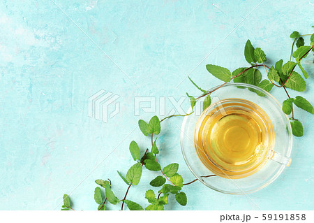 Mint tea cup, shot from the top on a blue background with fresh mint leaves and copy space 59191858