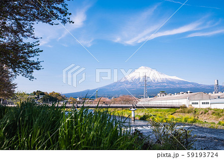 龍巌淵 富士山と桜 龍巌淵 富士山と桜 59193724