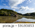 新潟の田園風景 59193853