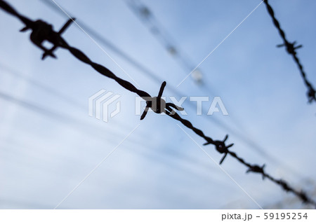 有刺鉄線の写真素材