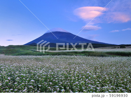 朝焼けの吊るし雲と富士山-3943 朝焼けの吊るし雲と富士山-3943 59196930