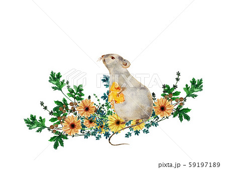ネズミと花とハーブのイラスト素材