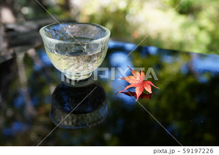 もみじ膳 紅葉 もみじ膳 紅葉 59197226