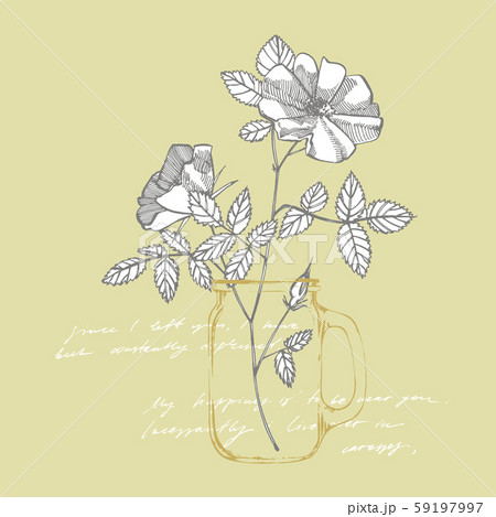 Wild rose flowers drawing and sketch illustrations. Decorative floral set for fabric, textile 59197997