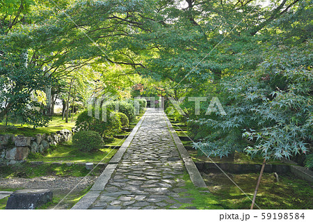 【酬恩庵 一休寺】 京都府京田辺市薪里ノ内 59198584