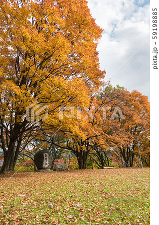 朝日ヶ丘公園 朝日ヶ丘公園 59198885