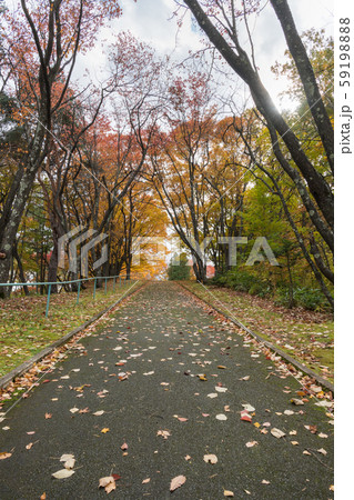 朝日ヶ丘公園 朝日ヶ丘公園 59198888