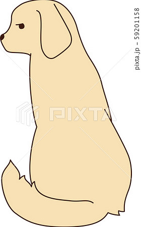 ゴールデンレトリバー（拗ねる） 59201158