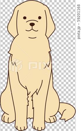 ゴールデンレトリバー(お座り) ゴールデンレトリバー(お座り) 59201168