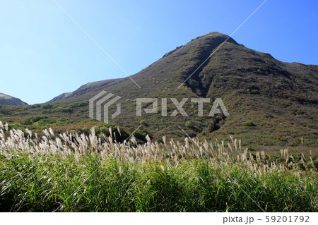 秋のくじゅう 坊がつる湿原　黄金色に輝くススキの草原 59201792