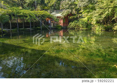 富士宮 浅間大社 涌玉池 富士宮 浅間大社 涌玉池 59202221