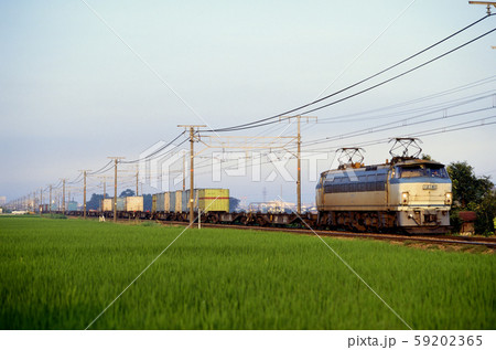 1996年 早朝の東海道を走る白熊更新色のEF6618コンテナ貨物列車 1996年 早朝の東海道を走る白熊更新色のEF6618コンテナ貨物列車 59202365