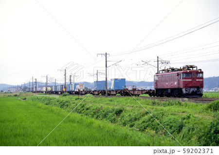 1996年 東北本線を走るED75100コンテナ貨物列車 1996年 東北本線を走るED75100コンテナ貨物列車 59202371