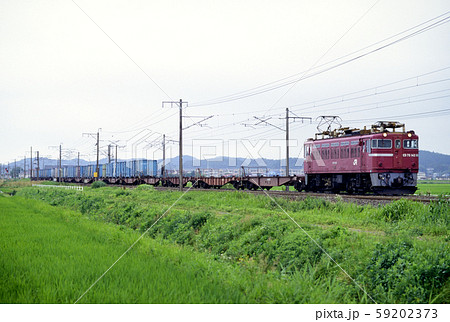 1996年 東北本線を走るED75142コンテナ貨物列車 1996年 東北本線を走るED75142コンテナ貨物列車 59202373