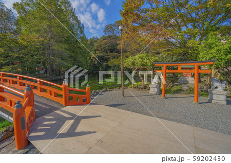 富士宮 浅間大社 涌玉池 富士宮 浅間大社 涌玉池 59202430