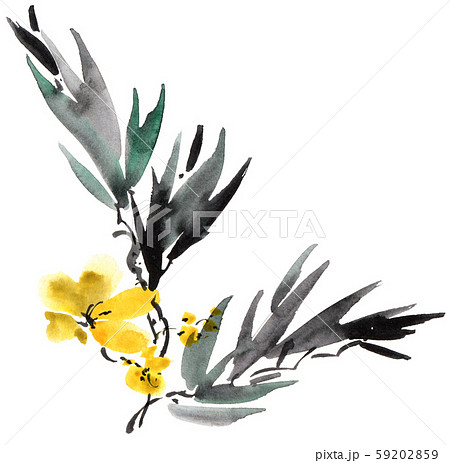 Blossom tree branch Blossom tree branch 59202859