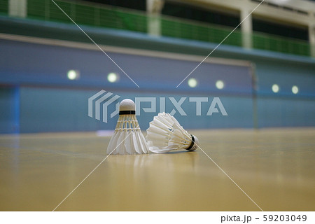 バドミントン 59203049