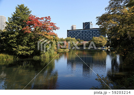 秋の札幌・中島公園 秋の札幌・中島公園 59203214