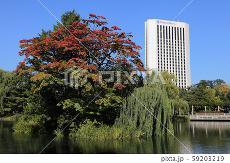 秋の札幌・中島公園 秋の札幌・中島公園 59203219