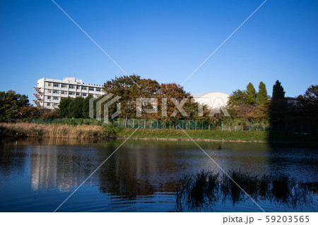 武蔵浦和白幡沼 武蔵浦和白幡沼 59203565